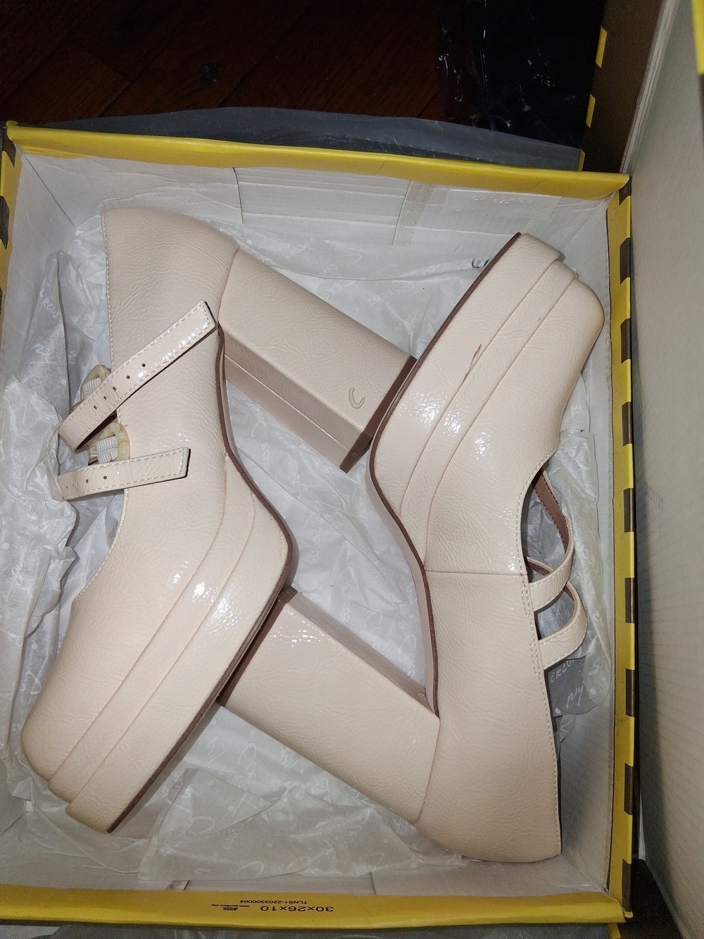 Circus by Sam Edelman Blush Platform Mary Jane Pumps